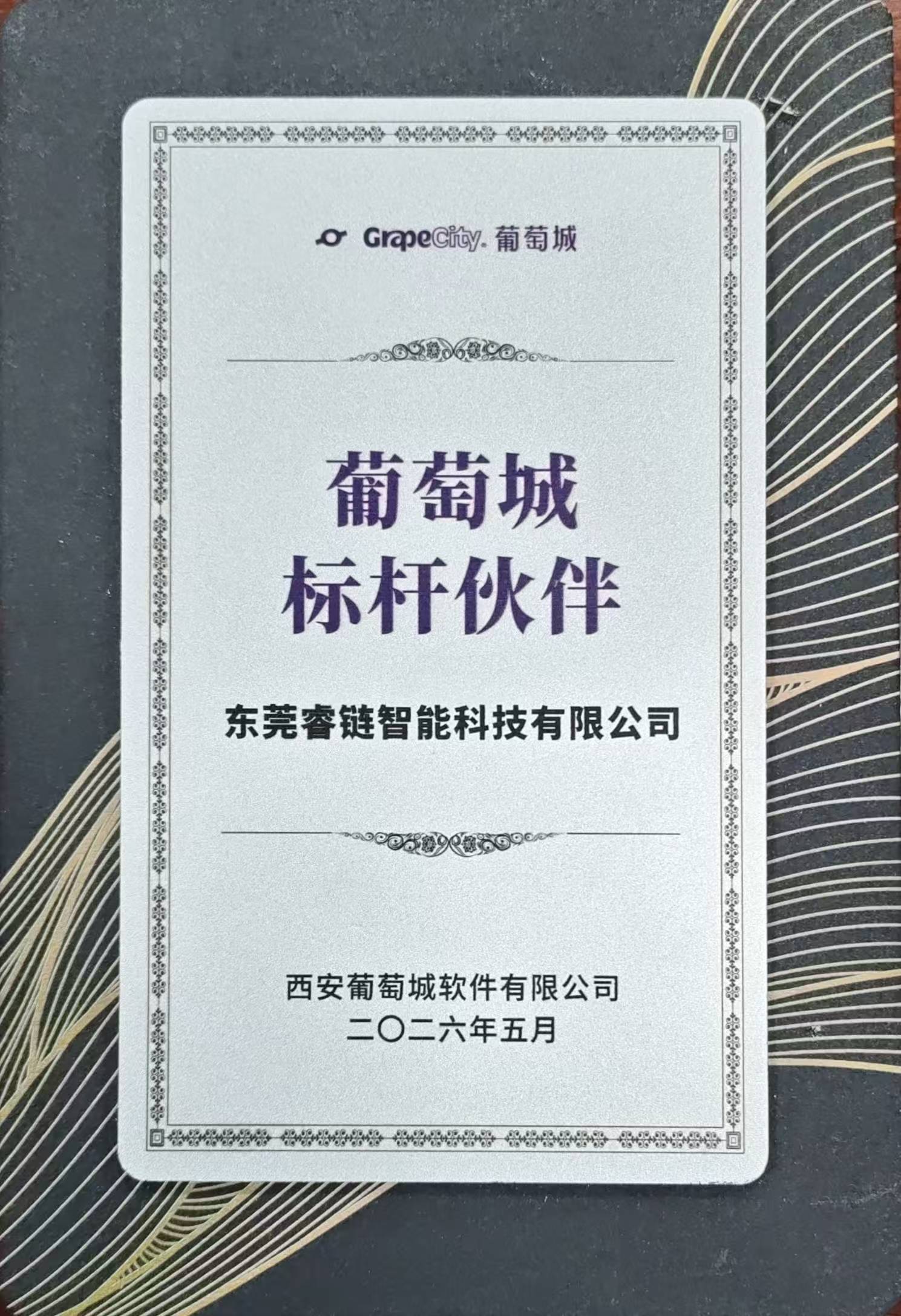 标杆伙伴 2026